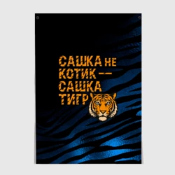 Постер Сашка не котик Сашка тигр