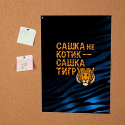 Постер Сашка не котик Сашка тигр - фото 2
