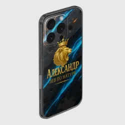 Чехол для iPhone 16 Pro силиконовый с защитой камеры Александр лев  по натуре - фото 2
