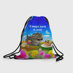 Рюкзак-мешок 3D В мире хаха я хехе