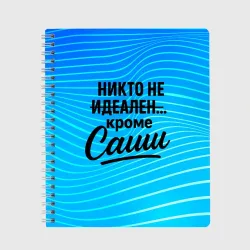 Тетрадь Никто не идеален  кроме Саши