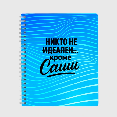 Тетрадь Никто не идеален  кроме Саши