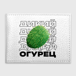 Обложка для студенческого билета Дикий дикий огурец