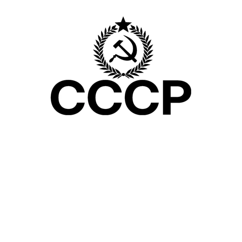 Мужской свитшот хлопок с принтом Мы из ссср, фото на моделе #1