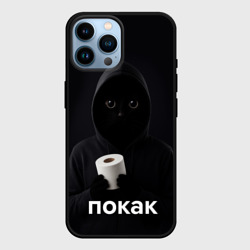 Чехол для iPhone 14 Pro Max Кот окак - покак мем
