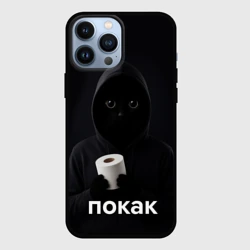 Чехол для iPhone 13 Pro Max Кот окак - покак мем