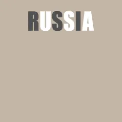 Мужской свитшот хлопок Russia - USA - фото 2