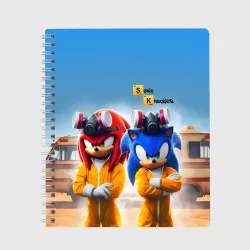Тетрадь Sonic and echidna Knuckles - Breaking bad soap opera
