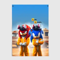 Постер Sonic and echidna Knuckles - Breaking bad soap opera