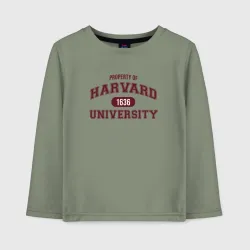 Детский лонгслив хлопок Harvard