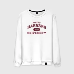 Мужской свитшот хлопок Harvard