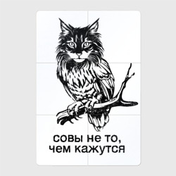Магнитный плакат 2Х3 Совы не то, чем кажутся 