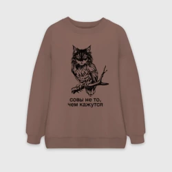 Женский свитшот oversize без начеса хлопок Совы не то, чем кажутся 