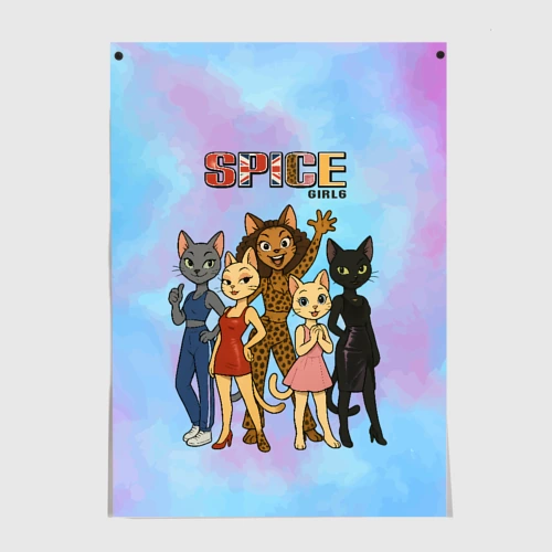 Постер Spice girls кошки из 90х