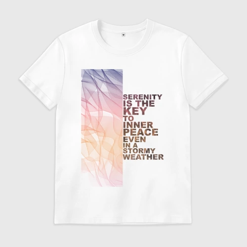 Мужская футболка хлопок Serenity is the key