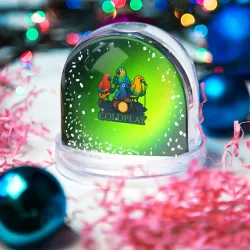 Игрушка Снежный шар Coldplay группа из попугаев - фото 2