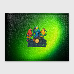 Обложка для студенческого билета Coldplay группа из попугаев