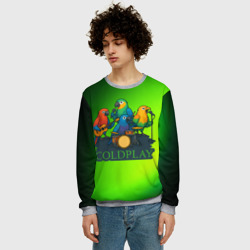 Мужской свитшот 3D Coldplay группа из попугаев - фото 2
