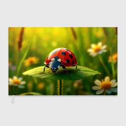 Флаг 3D Солнечное очарование божьей коровки