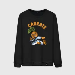 Мужской свитшот хлопок Carrate