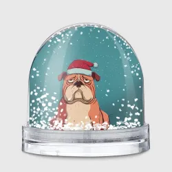 Игрушка Снежный шар Новогодний недовольный бульдог 