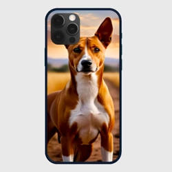 Чехол для iPhone 12 Pro Басенджи на закате саванны