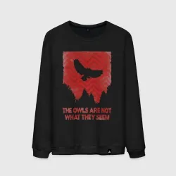 Мужской свитшот хлопок The owls are not what they seem