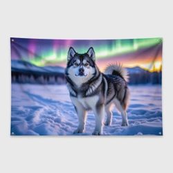 Флаг-баннер Маламут под авророй