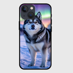 Чехол для iPhone 13 mini Маламут под авророй
