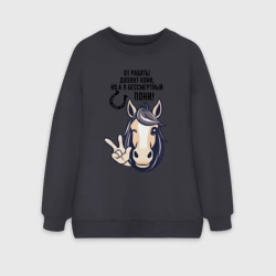 Женский свитшот oversize без начеса хлопок От работы дохнут кони но а я бессмертный пони