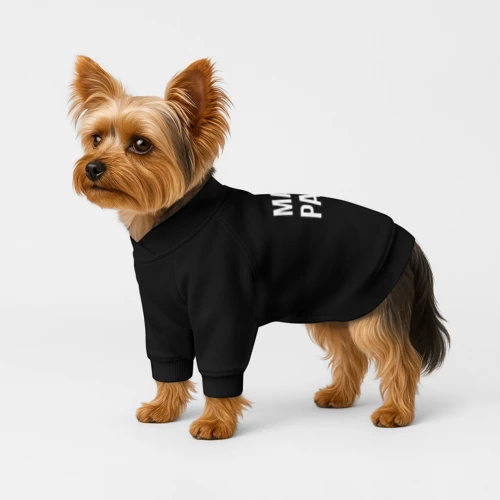 Свитшот для собак хлопок Радость мамина - фото 4