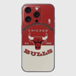 Чехол для iPhone 15 Pro силиконовый с защитой камеры NBA Bulls Vintage