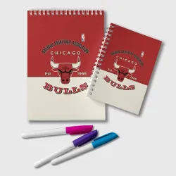 Блокнот NBA Bulls Vintage