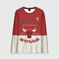 Мужской лонгслив 3D NBA Bulls Vintage