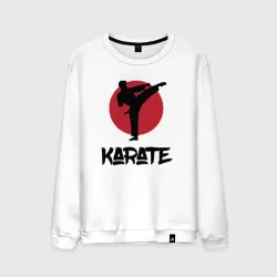 Мужской свитшот хлопок Karate kick