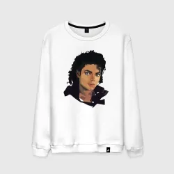 Мужской свитшот хлопок Jackson