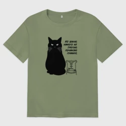 Мужская футболка хлопок Oversize Бегемот и примус