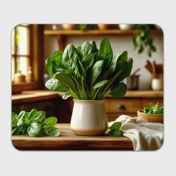 Прямоугольный коврик для мышки Шпинатный букет на кухне