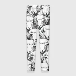 Леггинсы 3D Стадо взглядов овец