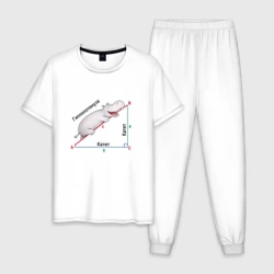 Мужская пижама с белой футболкой хлопок Гиппопотам геометрический