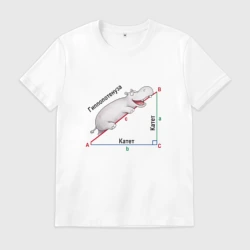 Мужская футболка хлопок Гиппопотам геометрический