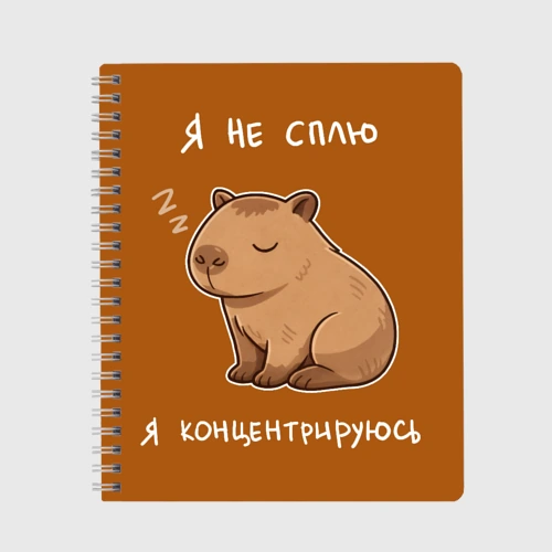 Тетрадь Я не сплю - капибара концентрируется