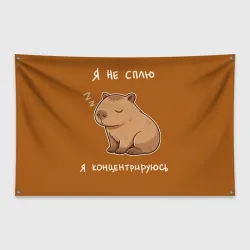 Флаг-баннер Я не сплю - капибара концентрируется