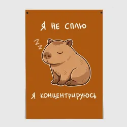 Постер Я не сплю - капибара концентрируется