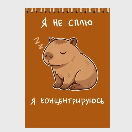 Скетчбук Я не сплю - капибара концентрируется