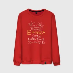 Мужской свитшот хлопок E=MC2 формула