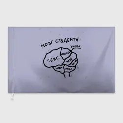 Флаг 3D Схема мозга
