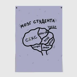 Постер Схема мозга