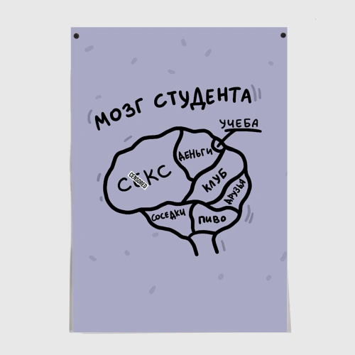 Постер Схема мозга