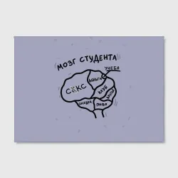 Холст прямоугольный Схема мозга - фото 2